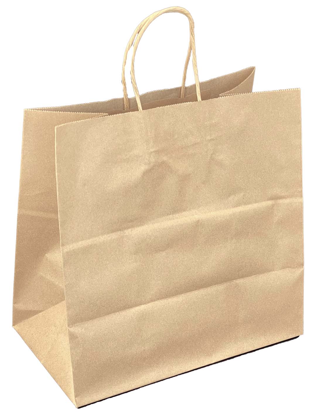 Medium Twisted Handle Paper Carry Bag
