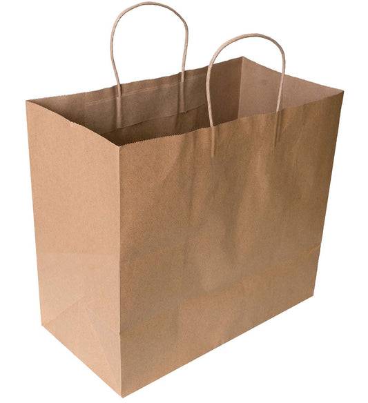 Small Twisted Handle Paper Carry Bag